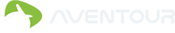 WordPress Website