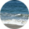 WordPress Website