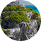 WordPress Website