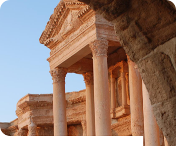 WordPress Website