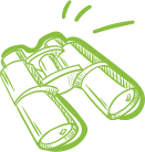 WordPress Website
