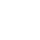 WordPress Website