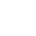 WordPress Website