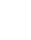 WordPress Website