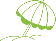 WordPress Website